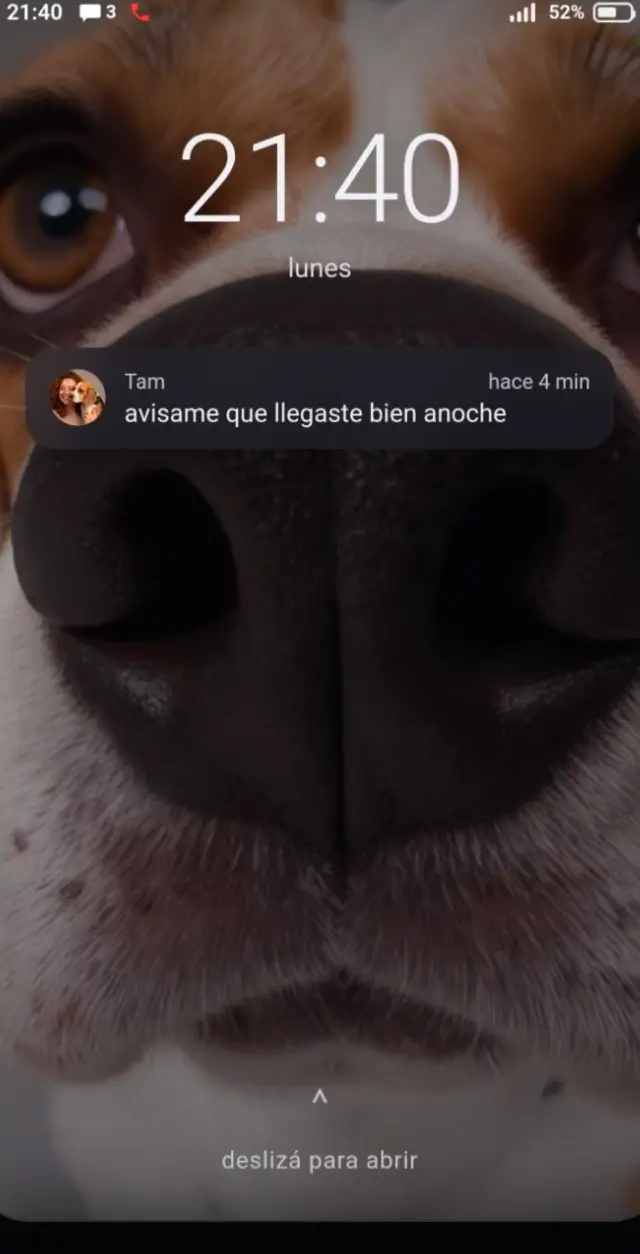 Pantalla de bloqueo de un teléfono con la foto de un beagle y una notificación de Tam: avisame que llegaste bien anoche, hace 4 minutos.